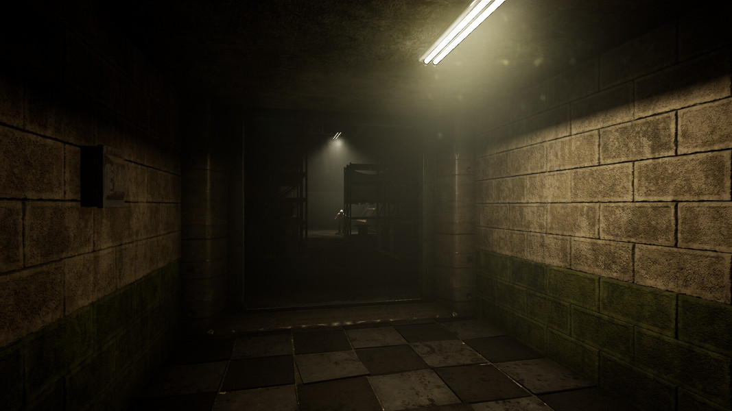 Slender: The Arrival VR PS5